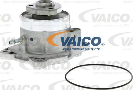 VAICO V10-50081 - Vesipumppu inparts.fi