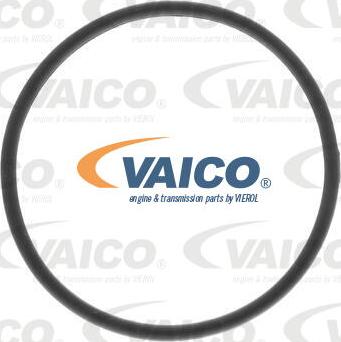 VAICO V10-0499 - Polttoainesuodatin inparts.fi