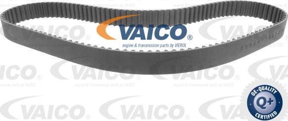 VAICO V10-3554 - Hammashihnat inparts.fi