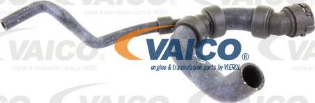 VAICO V10-3195 - Jäähdyttimen letku inparts.fi