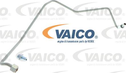 VAICO V10-3733 - Öljyjohdin, ahdin inparts.fi