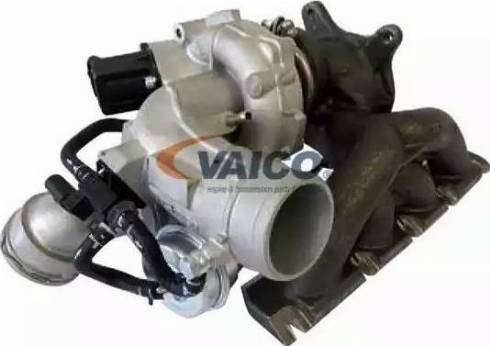 VAICO V10-2482 - Ahdin inparts.fi