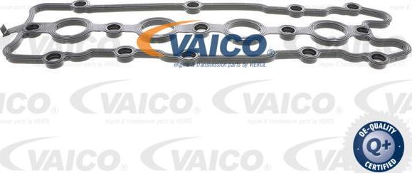 VAICO V10-2561 - Tiiviste, venttiilikoppa inparts.fi