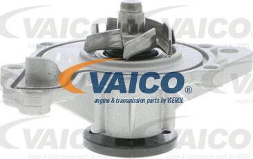 VAICO V30-50055 - Vesipumppu inparts.fi