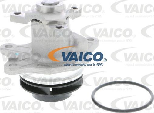 VAICO V30-50025 - Vesipumppu inparts.fi