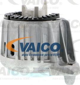 VAICO V30-1859 - Moottorin tuki inparts.fi