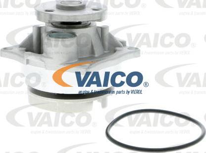 VAICO V25-50011 - Vesipumppu inparts.fi