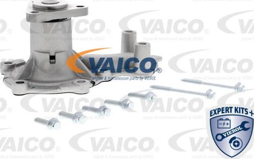 VAICO V25-50029 - Vesipumppu inparts.fi