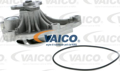 VAICO V20-50045 - Vesipumppu inparts.fi