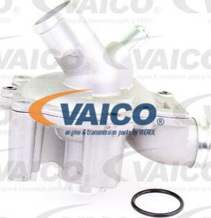 VAICO V20-50041 - Vesipumppu inparts.fi