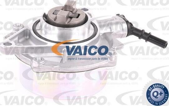 VAICO V20-8132 - Alipainepumppu, jarrujärjestelmä inparts.fi