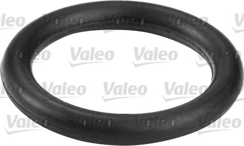 Valeo 587555 - Polttoainesuodatin inparts.fi