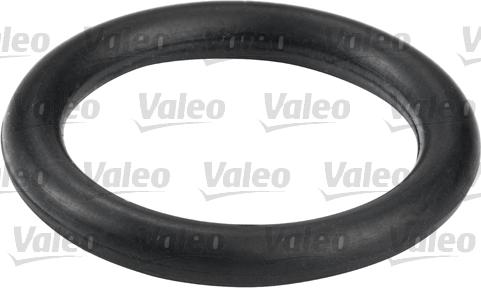 Valeo 587557 - Polttoainesuodatin inparts.fi