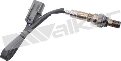 Walker Products 350-34702 - Lambdatunnistin inparts.fi