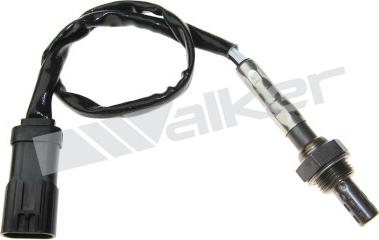 Walker Products 250-23164 - Lambdatunnistin inparts.fi