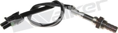 Walker Products 250-22063 - Lambdatunnistin inparts.fi