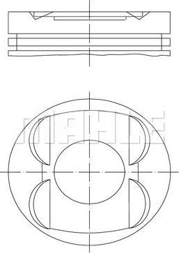 Wilmink Group WG1104059 - Männät inparts.fi