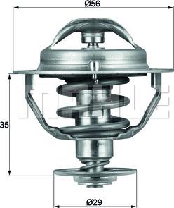 Wilmink Group WG1264895 - Termostaatti, jäähdytysneste inparts.fi