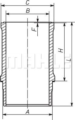 Wilmink Group WG1789719 - Sylinteriputki inparts.fi