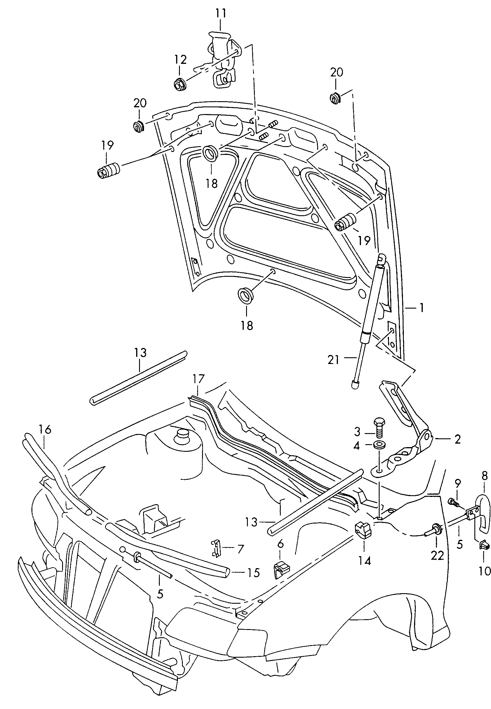 Skoda 8L0823359 - Kaasujousi, konepelti inparts.fi