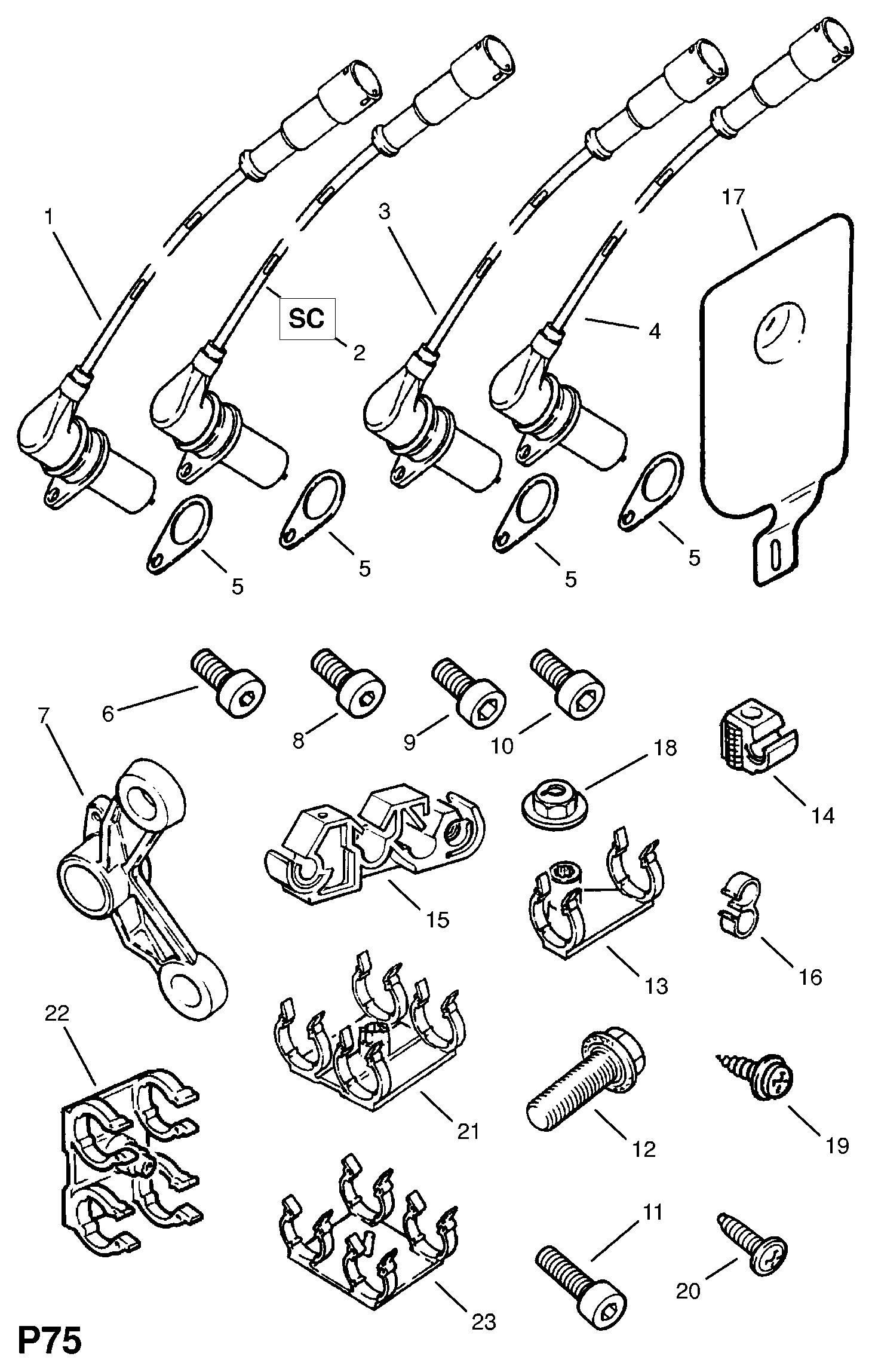 RENAULT 2038219 - SCREW, PLATE, 4.8 X 13 (ORDER IN MULTIPLES OF 10) (NLS.- USE 110 inparts.fi