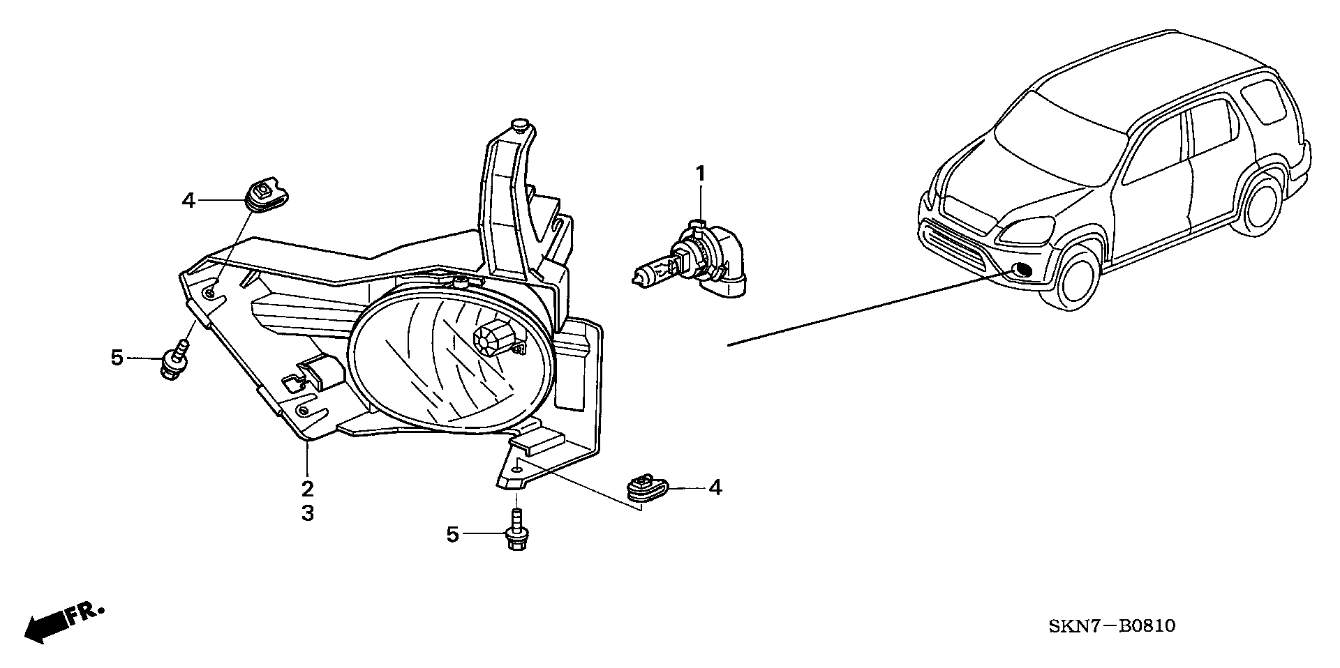 Honda 33104-SL5-A02 - Polttimo, mutkavalonheitin inparts.fi