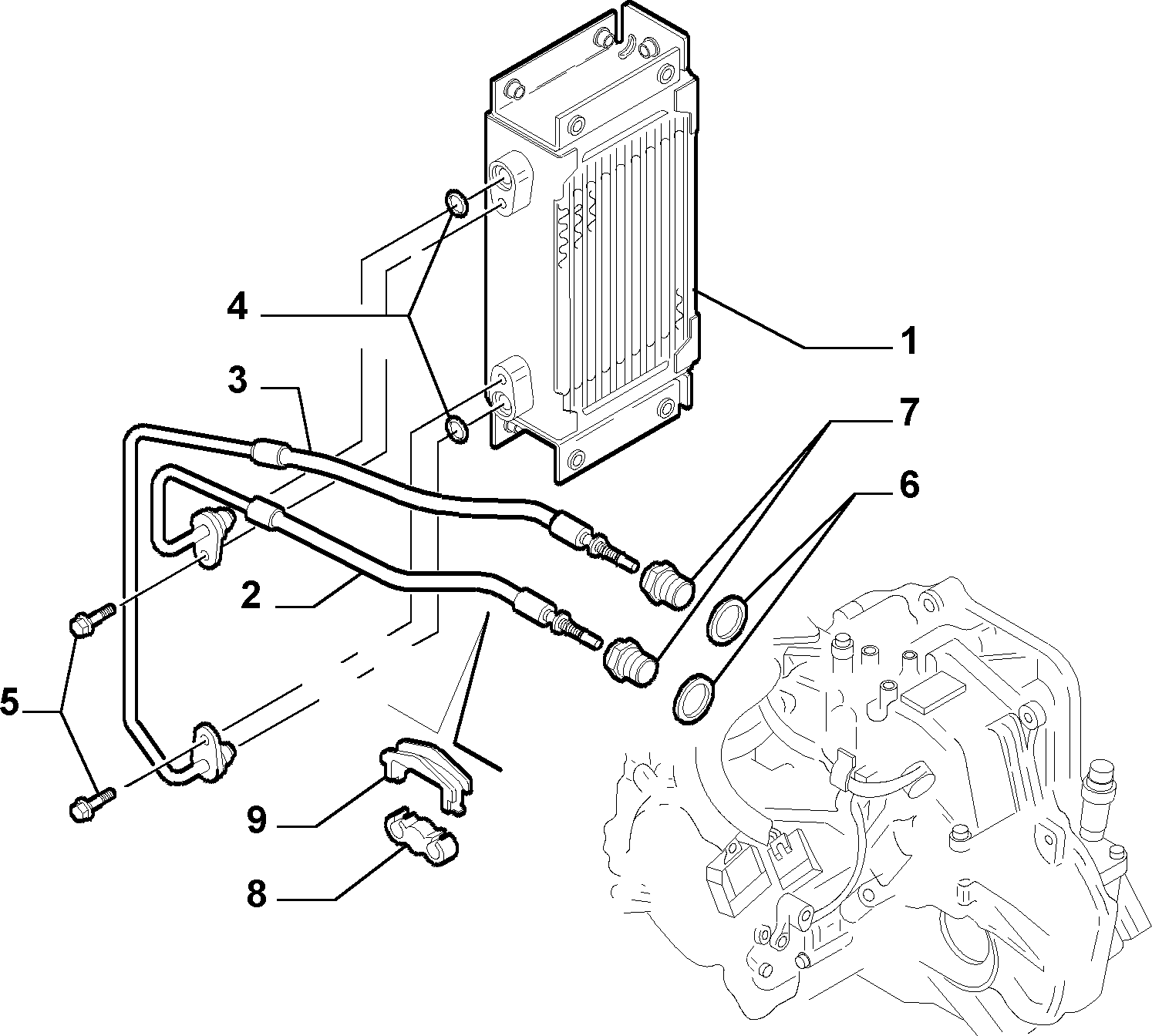 FIAT 10 261 160 - Tiiviste, öljynlaskutulppa inparts.fi