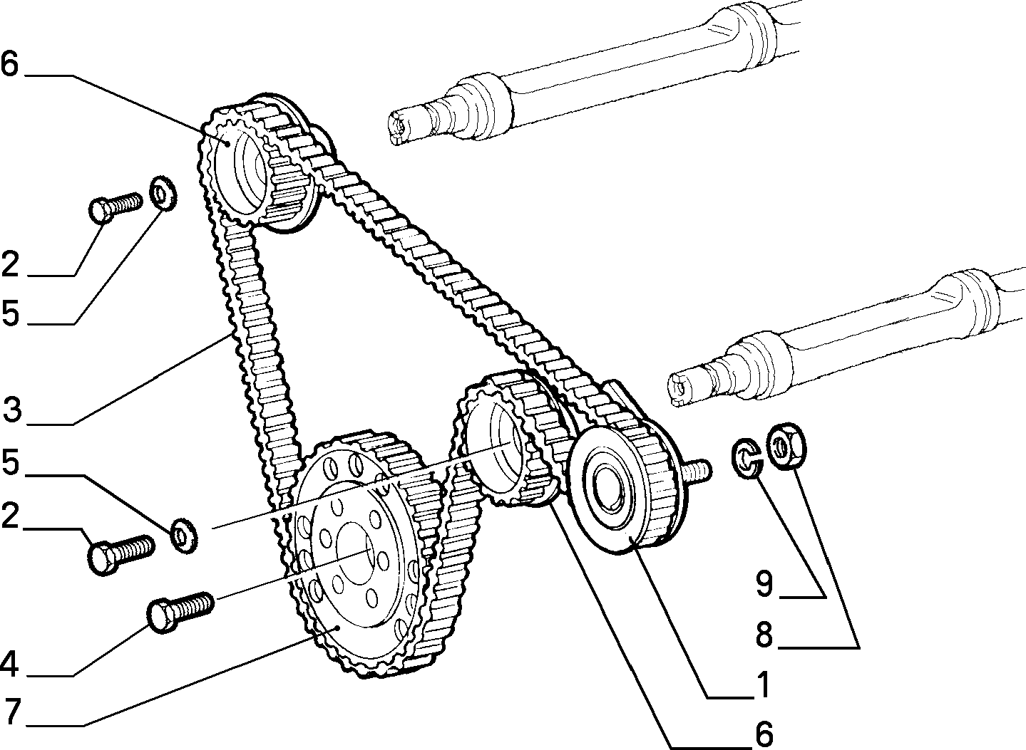 FIAT 60812384 - Kiristysrulla, hammashihnat inparts.fi