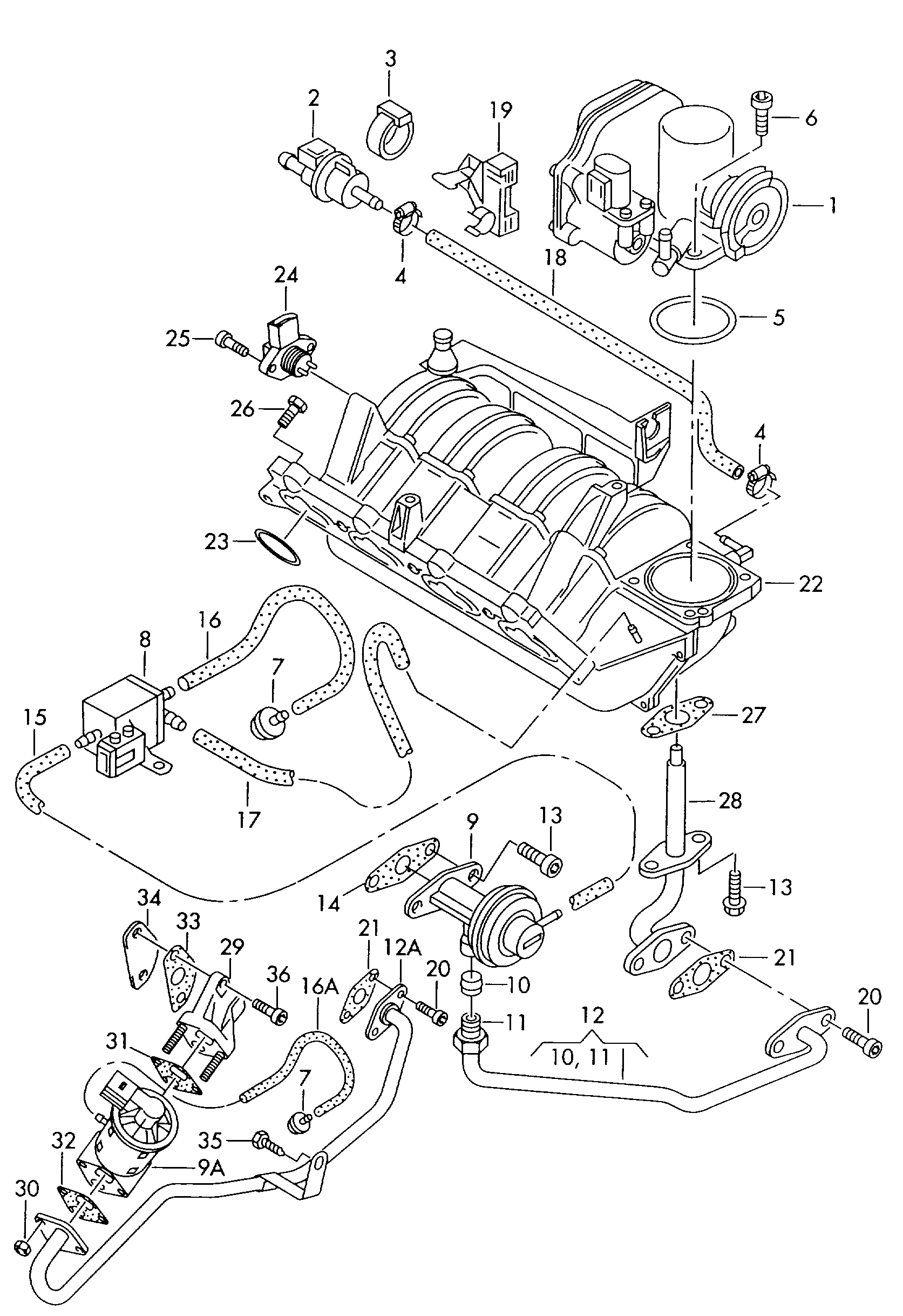 Seat 036 131 547 F - Tiiviste, EGR-venttiili inparts.fi