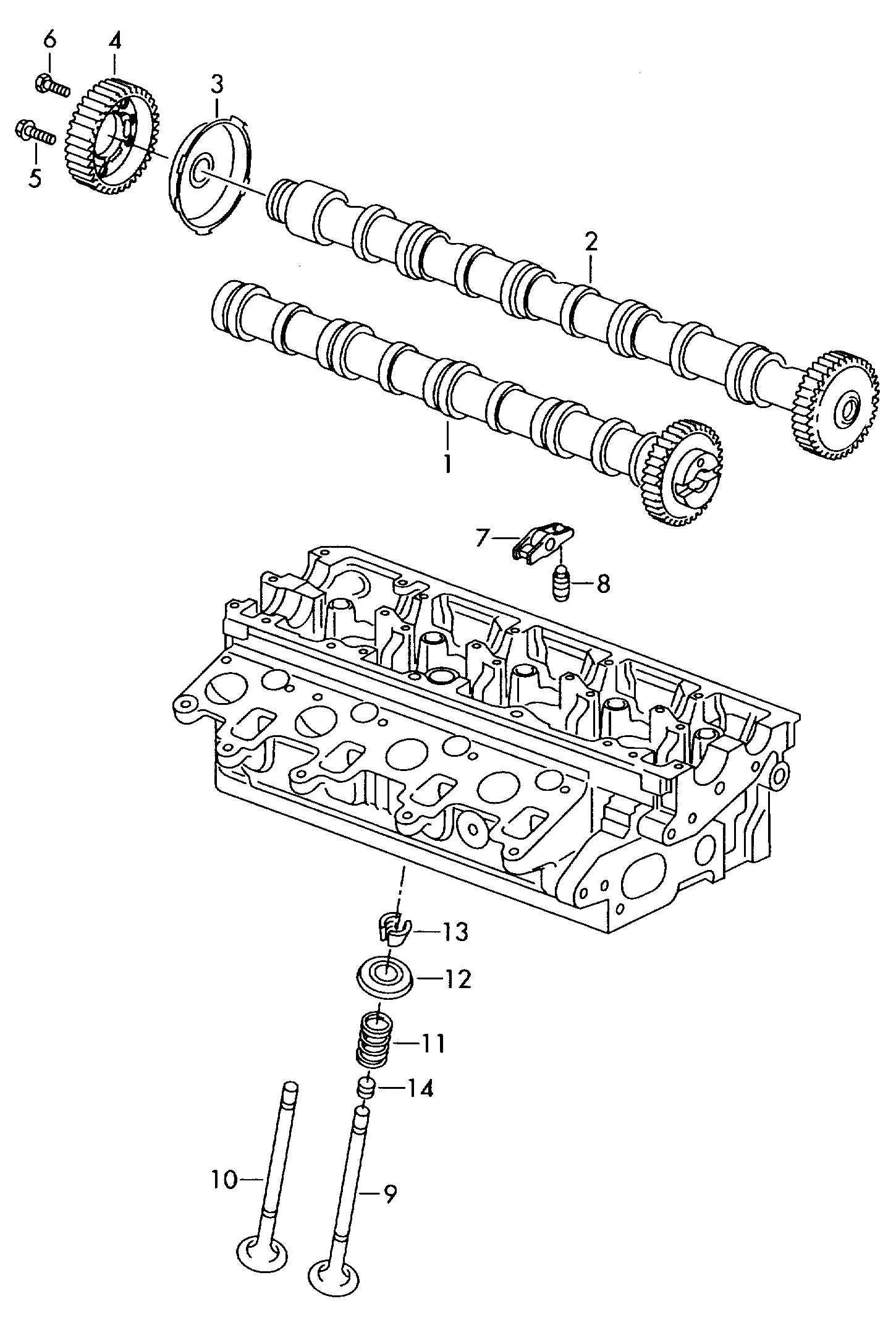 Skoda 038 109 111E - Hammaspyörä, nokka-akseli inparts.fi