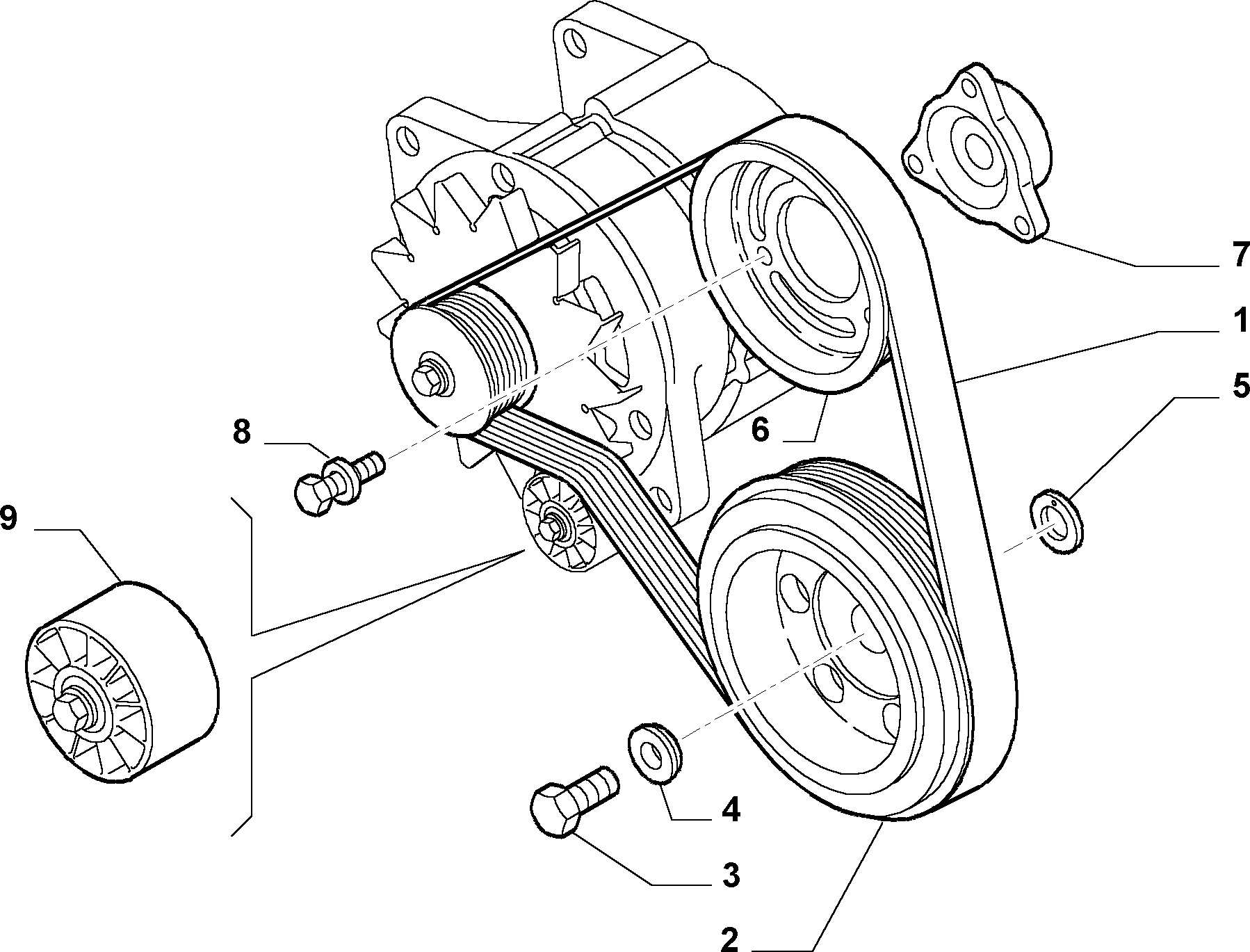 FIAT 504171191 - Moniurahihna inparts.fi