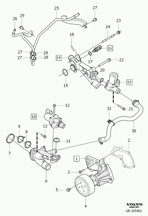 Volvo 31368353 - Vesipumppu inparts.fi