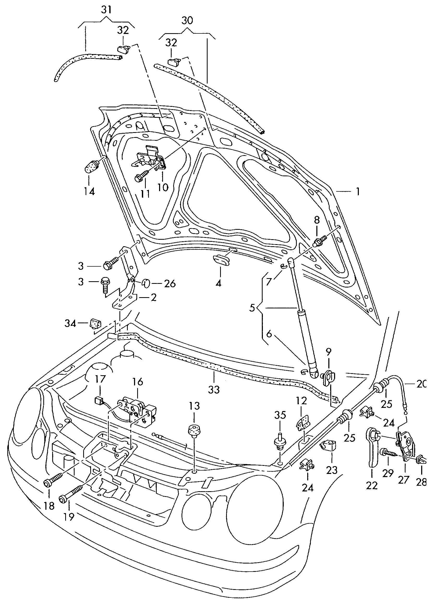 VAG 6Q0 823 359C - Kaasujousi, konepelti inparts.fi