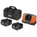 Försörjningsbatteri AEG SET OF 2 X BATTERY. 18V 5AH, FAST CHARGER, BAG