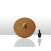 Polishing disc 260407